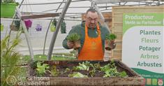 Comment planter des légumes dans un potager au carré ? 